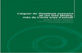 L’alguer de Posidonia oceanica de les illes Medes: més de trenta …diposit.ub.edu/dspace/bitstream/2445/33529/1/Romero... · 2013-02-04 · La praderia de Posidonia oceanica al