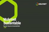 Molymet Sustentable › wp-content › uploads › 2020 › 06 › Reporte... · 2020-06-26 · 33 Introducción Molymet Sustentable Reporte de Sustentabilidad 2019/ El molibdeno