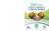 Guía para los pescadores sobre el Cultivo › project › elsalvador › 2271029E1 › materials › … · Guía para los pescadores sobre el Cultivo de Moluscos del Género Anadara