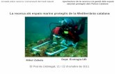 La recerca als espais marins protegits de la Mediterrània catalana · 2011-10-24 · a.2. logÍstiques (vigilades, suport, background) a.1+a.2. observatoris: lt de processos globals