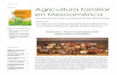 VOLUMEN Nº 1 ENERO Agricultura familiar · 2016-03-21 · CULTURA FAMILIAR: ME-SOAMÉRICA 4 PORTALES DE INTERÉS Y CAMPAÑA AGRICULTU- ... mercado, agrobiodiversidad y cadenas de