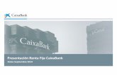 Presentación Renta Fija CaixaBankSaneamiento intensivo de la cartera de crédito promotor (-21,9% v.a. / -6,7% v.t.), liderando la corrección del saldo de dudosos El coste del riesgo