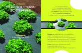 JORNADA PLASTICULTURA - Club EMAS Murcia › app › download › 31691043 › ... · Responsable de I+D de CETEC. Pausa café “La aportación de los biodegradables a los cultivos