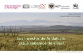 Los Insectos de Andalucía. ¿Una cuestión de números? · 2016-12-19 · Los Insectos de Andalucía. ¿Qué sabemos de ellos? Alberto Tinaut Universidad de Granada. Fotografías