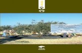 Evaluación de la sostenibilidad de las explotaciones de ... · El olivar andaluz como sistema agrario multifuncional 19 ... través de indicadores..... 41 II.3. Marcos teóricos