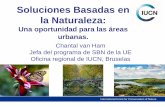 Soluciones Basadas en la Naturaleza - UICN-MED · la sociedad y la economía de las soluciones basadas en la naturaleza y el aumento de su uso (bienes naturales) • Enfoque gradual: