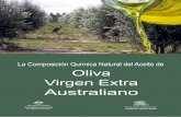 La Composición Química Natural del Aceite de Oliva Virgen ... · El aceite de oliva tiene niveles útiles de este ácido graso, pero no niveles altos en comparación con otros productos.