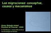 Las migraciones: conceptos, causas y mecanismoszoologia.fcien.edu.uy/teorico/Teorico 05 (Maneyro).pdfLas migraciones: conceptos, causas y mecanismos Dr. Raúl Maneyro – rmaneyro@fcien.edu.uy