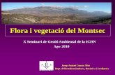 Flora i vegetació del Montsecblogs.iec.cat/ichn/wp-content/uploads/sites/33/2013/10/... · 2013-10-30 · EL PAISATGE VEGETAL Heterogeni. Equilibrat. Connectat. Vessant nord del