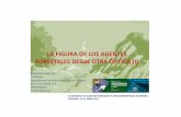 2015 LA FIGURA DE LOS AGENTES FORESTALES DESDE OTRA I … · 2016-09-28 · LA FIGURA DE LOS AGENTES FORESTALES DESDE OTRA ÓPTICA (I) GREGORIO MONTERO CIFOR-INIA Departamento de