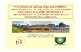 PROPUESTA DE INDICADORES QUE PERMITAN ......Red de Información Ambiental de Andalucía (REDIAM) Porcentaje de explotaciones según el número de hábitats diferentes (max. 48) % HabArb