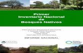 Primer Inventario Nacional de Bosques Nativos · 2019-09-20 · A2. Inventario Nacional de Bosques Nativos y Áreas Protegidas y Manejo de la correspondiente Base de Datos. A3. Investigación
