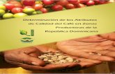 Determinación de los Atributos de Calidad del Café en Zonas …agents.cirad.fr/pjjimg/fabienne.ribeyre@cirad.fr/... · 2010-07-16 · los atributos de calidad del café dominicano.