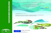 PLAN HIDROLÓGICO - Junta de Andalucía...Puede consultar el Proyecto de Revisión de los Planes Hidrológicos de las Demarcaciones Hidrográficas de las Cuencas Internas de Andalucía