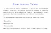 Reacciones en Cadenadepa.fquim.unam.mx/amyd/archivero/apuntesparte3_17206.pdf · 2012-05-10 · Los intermediarios que participan en los pasos de propagación se les denomina acarreadores