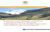 Relación entre árboles, cobertura hidrológicos en los ... · Cita correcta: Cerrón J, del Castillo J, Bonnesoeur V, Peralvo M, Mathez-Stiefel S L. 2019. Relación entre árboles,