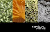 CRIPTÓGAMAS Guía básica - CIRENYScirenys.cl/wp-content/uploads/2014/07/Criptogamas-_Guia_Basica.pdf · grupo de organismos (helechos, musgos, algas y hongos), cuyos tejidos y órganos