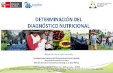 DETERMINACIÓN DEL DIAGNÓSTICO NUTRICIONAL - Sociedad Peruana de ... · Compara con patrones de referencia bioquímicos (Tabla de Evaluación Bioquímica). •12. Registra la valoración