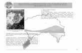 EVALUACION DE LA VULNERABILIDAD ESTRUCTURAL DE LOS EDIFICIOS DE …desastres.usac.edu.gt/documentos/docgt/pdf/spa/doc0185/... · 2020-03-19 · EVALUACION DE LA VULNERABILIDAD ESTRUCTURAL