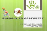 ANIMALS EN CAPTIVITAT - XTECcurs 2015-2016 animals en captivitat . ... les mascotes són animals en captivitat? visualitzem el vÍdeo inicial de les jjee engeguem les jornades ecolÒgiques