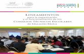 Lineamientos - OCADIZ BIOLOGIA S9 · 4 Lineamientos para la organización y el funcionamiento de los Consejos Técnicos Escolares de Educación Básica CAPÍTULO I disposiciones generales