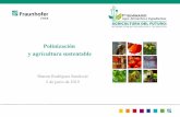 Polinización y agricultura sustentable - Redagrícola...2019/06/03  · 1. Importancia económica de la abeja melífera radica en su función como agente polinizador que interviene