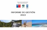 INFORME DE GESTIÓN 2013 - Ministerio del Medio Ambientebdrnap.mma.gob.cl/.../Informe-de-Gestion-2013.pdf · INFORME DE GESTIÓN 2013 1 . 1. Contexto General 2 . 3 . Agenda 2013-2015