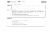Pràctica de Briefing: Títolxarxaenxarxa.diba.cat/sites/xarxaenxarxa.diba.cat/files/... · 2018-11-21 · - Associacions de dones immigrants - Centres cívis - Mediadors culturals