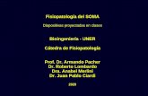 Fisiopatología del SOMA - Federación Argentina de ... acetilcolina de la membrana postsináptica de la placa motora. Fisiopatología: la disminución de receptores de acetilcolina