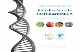 Introducción a la NUTRIGENÓMICA³n...Introducción • Introducción al manejo de la plataforma Moodle (vídeo) • Introducción a la nutrición molecular y bien-venida al curso