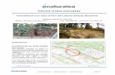 Informe d’obra executada€¦ · Informe final Consolidació d’un talús al Parc del Laberint d’Horta 5 de 10 L’enreixat viu és una estructura formada per la unió de troncs