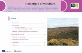 Paisatge i silvicultura - eforown.ctfc.cateforown.ctfc.cat/pdf/51_Paisatge i silvicultura_CAT.pdf · pot potenciar el paisatge sempre tenint en compte altres criteris. Línies i formes