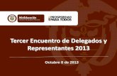 Tercer Encuentro de Delegados y Representantes 2013...Parágrafo: La aprobación de las decisiones de inversión quedará a cargo de los máximos órganos de dirección y gobierno
