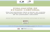 EvALUAción dE EStAdo coRPoRAL · 2018-06-05 · La Fundación vida Silvestre Argentina (FvSA) es una organización privada no gubernamental, de bien público y sin fines de lucro