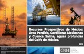 Recursos Prospectivos de México: Área Perdido, Cordilleras ...€¦ · Profundas del Golfo de México Evaluación al 2018 Evaluación 2019 Recurso Prospectivo Total media (MMbpce)