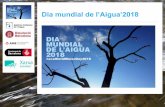 Dia mundial de l’Aigua’2018xarxaenxarxa.diba.cat/sites/xarxaenxarxa.diba.cat/files/... · 2018-02-05 · Dia mundial de l’Aigua’2018 L’AA, l’AM i la Diputació de Barcelon,