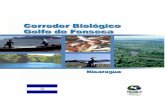 Nicaragua, junio, 2001 · PROARCA -COSTAS ha brindado su respaldo al apoyar el desarrollo del proceso de diseño del corredor, del cual y bajo un marco consensuado de sus princip