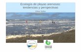 Ecología de playas arenosas: tendencias y perspectivasjornadasdelmar2018.exactas.uba.ar/wp-content/uploads/2018/08/Def… · de ola, rango de mareas, área de la playa, grano fino