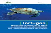 [ ] Tortugas - Oceana Perutortugas marinas y la importancia del Mediterráneo Occidental como zona de congregación y alimentación de diversas poblaciones de tortugas marinas7. Dado