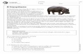 El hipopótamo - WordPress.comEl hipopótamo vive cerca de los lagos, charcos y ríos en el continente africano. Este animal es fácilmente reconocible por su gran tamaño, sus patas