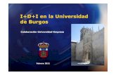 I+D+I en la Universidad de Burgos...Elasticidad, plasticidad, no linealidad, contactos. • Diagnosis de fallos de componentes y estructuras. Análisis fractográfico y simulación