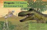 Oscar busca Dinosaurios - UCO · nuestros primeros Dinosaurios - Escribimos lo que sabíamos sobre ellos - Coloreamos y pegamos nuestro trabajo en ... escribimos unas cartas informando
