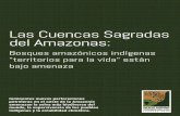 Las Cuencas Sagradas del Amazonas€¦ · para comenzar ese cambio es con las empresas y proyectos que operan dentro de la región de las Cuencas Sagradas, así como con cada una