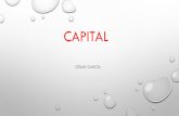 CAPITAL - ipluton.comCapital CreaVariable valor , es fuente de plusvalía Ejemplo: el salario Otros tipos de capital Capital Comercial: es el que se invierte en la esfera de la circulación