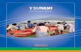TSUNAMI - Fundación PROCLADE · PDF file Tsunami es la palabra que en japonés da nombre a las olas que viajan escondidas, originadas por un desplazamiento del fondo oceánico, que