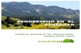 SENDERISMO EN EL PINSAPAR · 2019-06-05 · CICMA: 2608 +34 629 379 894 info@muntania.com Senderismo en el Pinsapar. Paque Natural de Grazalema. Andalucía-2020 2 2 El destino La