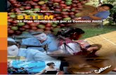 [Especial Boletín El Buen Café] SETEM · 2011-03-30 · Cuestionamos así el modelo agroexportador, que reproduce el antiguo esquema de la colonia en be-neficio de las grandes empresas