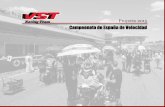 Racing Team Proyecto 2015 · 2014-12-09 · VST Racing Team … Palmarés Contamos con medios humanos y técnicos del más alto nivel que nos han permitido subir al podium en numerosas