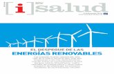 El dEspEguE dE las EnErgías rEnovablEs · años en la Argentina como las energías renovables. El país es especialmente atractivo para las inversiones en este ámbito porque muchos
