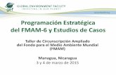 Programación Estratégica del FMAM-6 y Estudios de Casos · vida y el medio ambiente en todas las áreas focales. Uso del pensamiento integrado para elaborar soluciones creativas.